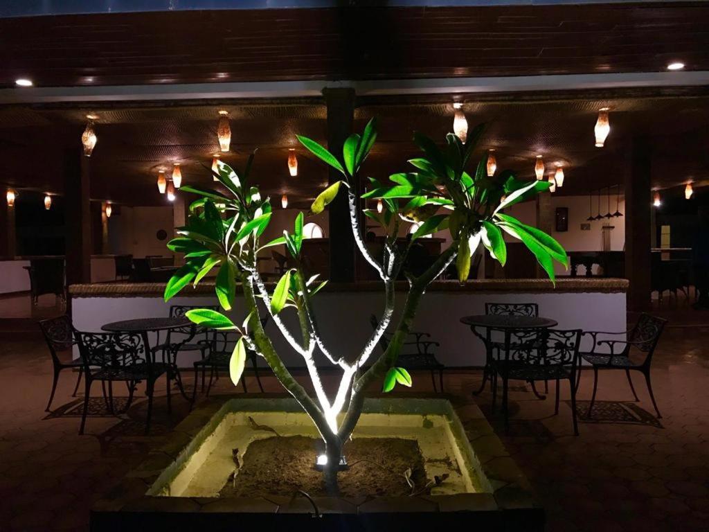 Peacock Beach Hotel ハンバントタ エクステリア 写真